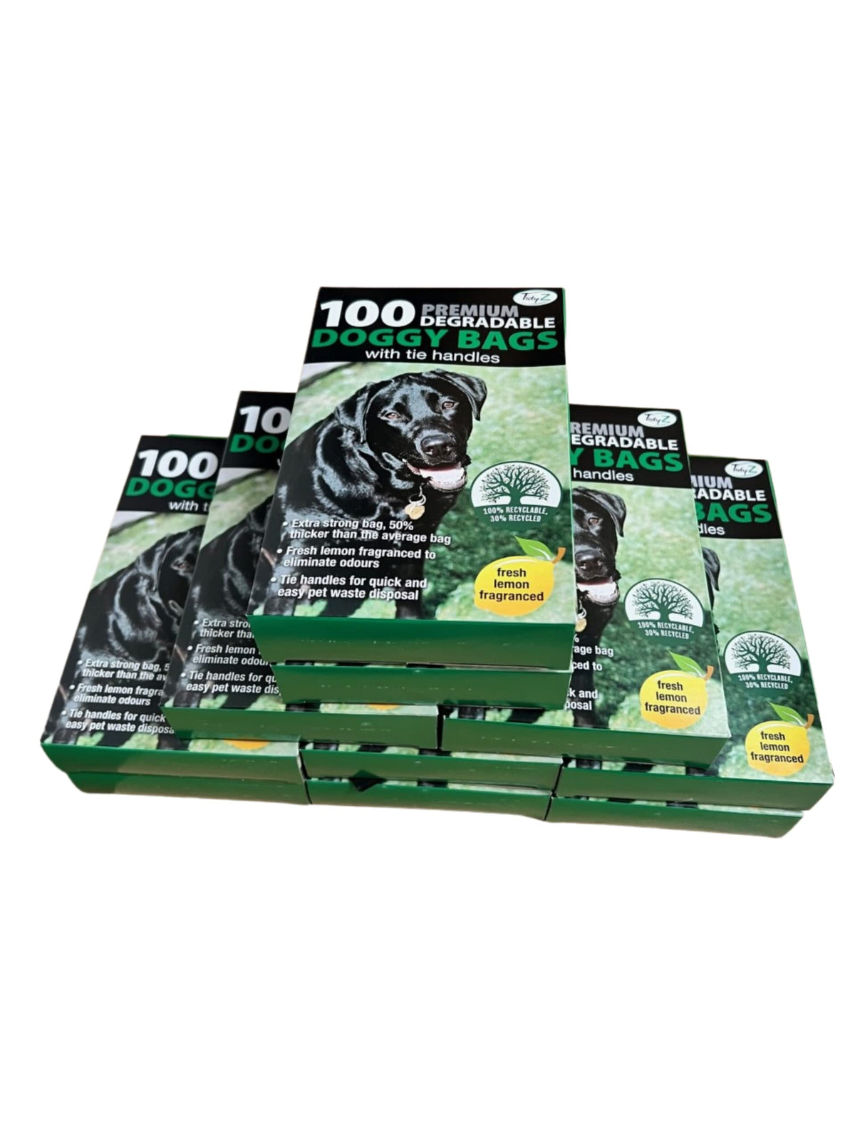 Tidyz Fragranced Black Dog Poo Bags, 2 x Box of 100